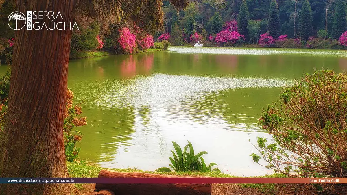 O amor romântico: Gramado como cenário de Lua de Mel