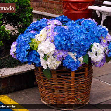 Descubra a beleza dos detalhes de Gramado