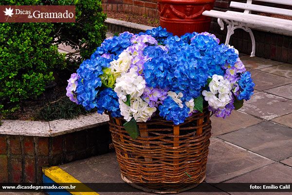 Descubra a beleza dos detalhes de Gramado