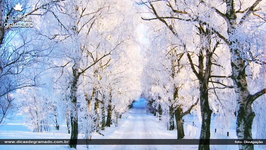 Featured image of post Imagens De Paisagens Com Neve Os cristais descem em sua dire o