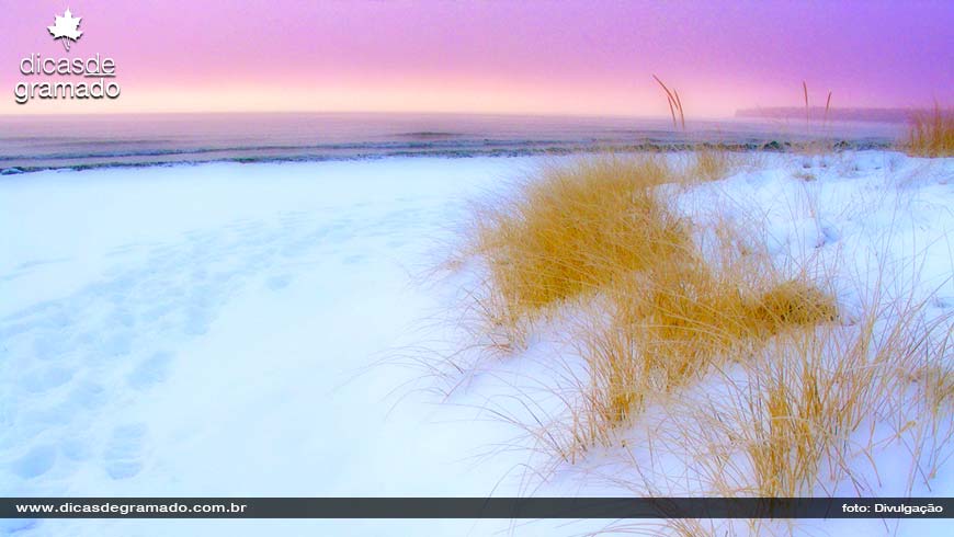 Paisagem de inverno