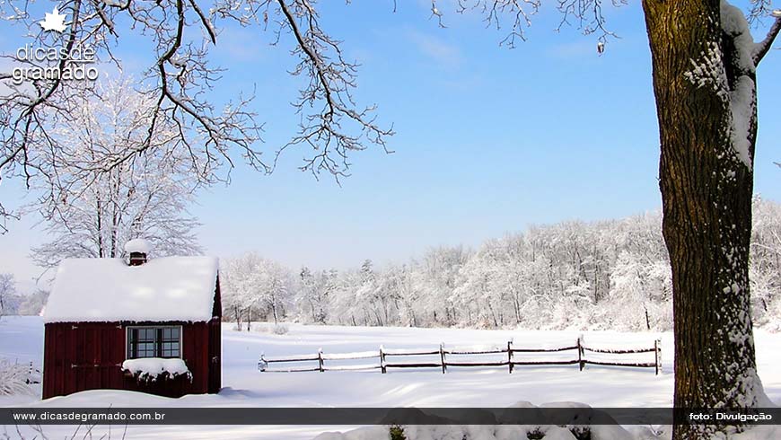 Paisagem de inverno