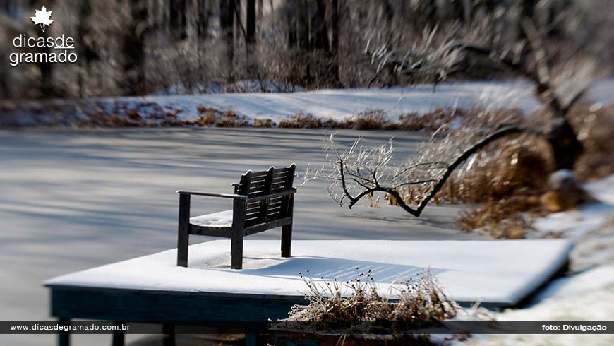 Paisagem de inverno