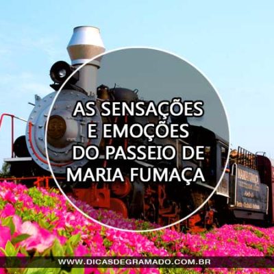 Tour Uva e Vinho e passeio de Maria Fumaça na Serra Gaúcha