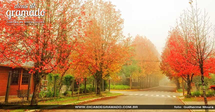 Descubra a beleza e as sensações do outono em Gramado