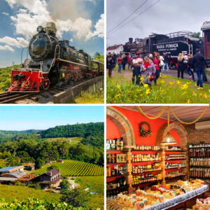 Tour Uva e Vinho e Passeio de Maria Fumaça