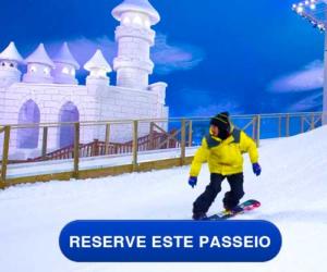 Ingresso Snowland Gramado
