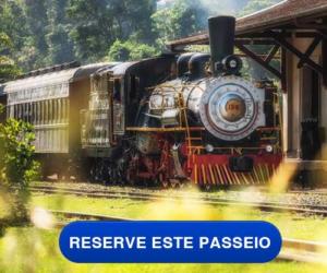 Tour Uva e Vinho e Passeio de Maria Fumaça