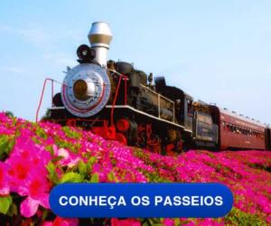 Passeios na Serra Gaúcha