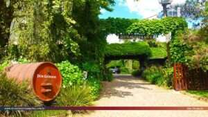 Vinícola e pousada Don Giovanni: destino de sonhos na Serra Gaúcha