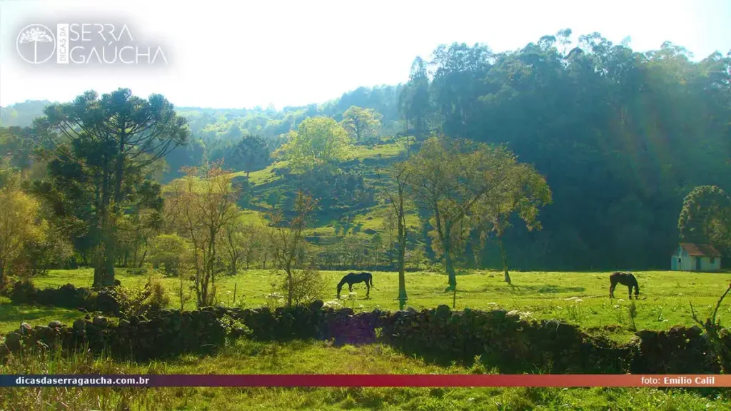 Tour Raízes Coloniais: Interior de Gramado em maio