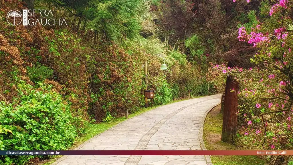 Gramado em junho: frio, clima e o que reservar antes